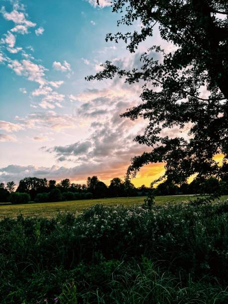 istock Christ Church Meadow 1415510725