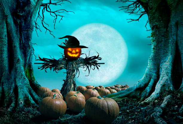 istock Scarecrow Topped With Jack O'Lantern Stands In A Pumpkin Patch Framed By Spooky Trees 1415515447