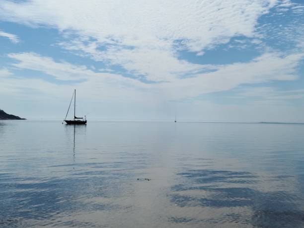 istock Solo in the sea 1415516326