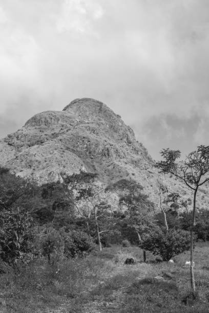 istock landscape with mountains and some trees 1415516380