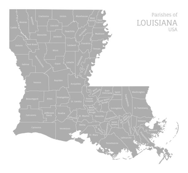 highly detailed administrative map of louisiana, us state - louisiana stock illustrations