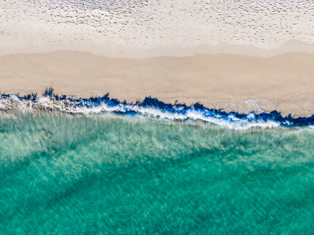 Aerial view, directly above, bird's eye view, gentle wave break on white sandy beach; turquoise water, millions of footprints