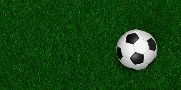 istock Soccer ball on green grass background, top view 1415521463