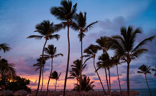 Punta Cana beach in Dominican Republic