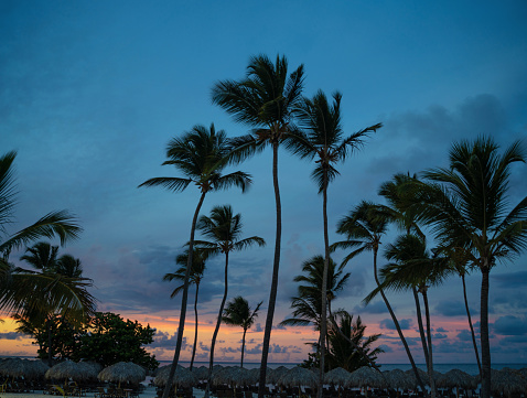 Punta Cana beach at sunset