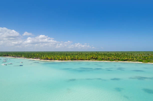 istock Drone over Dominican Republic - Punta Cana beach 1415522384