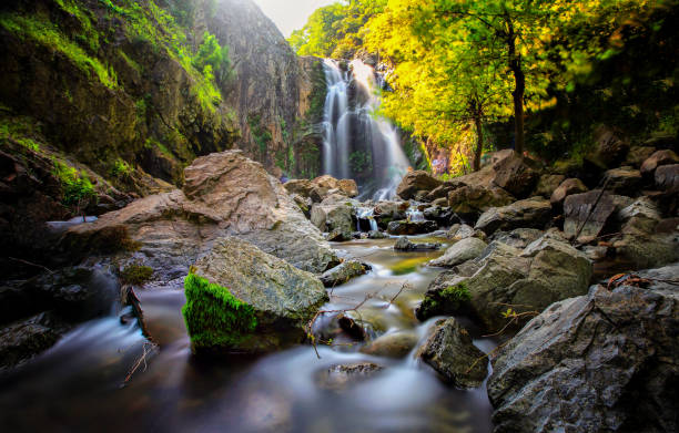 cascade. image d’une magnifique cascade coulant des profondeurs de la forêt. cascade de sudusen. yalova, bursa, turquie. - yalova photos et images de collection