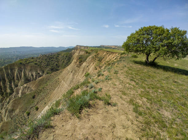 Nature health vacation in Georgia Kahetia region stock photo