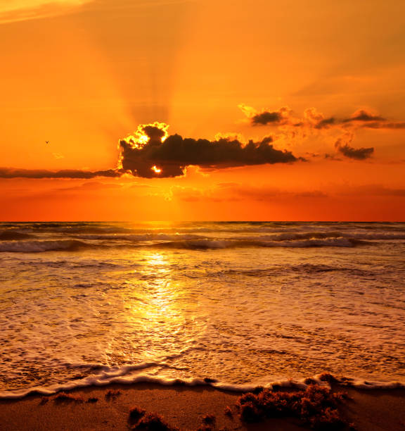 istock Beautiful orange color seascape during sunset 1415528409