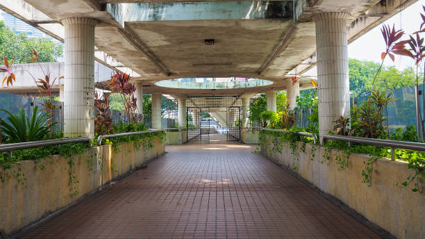 istock Vegetation of secret pathway 1415528439