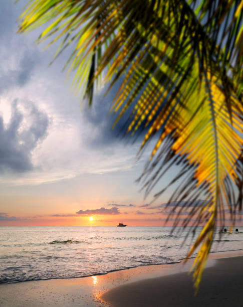 Landscape of paradise tropical island beach with boat background, sunset shot at Dominican republic ,Grand Bahia principe beach.