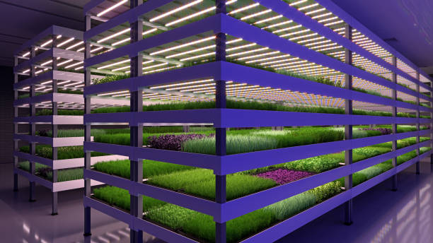 ferme verticale intérieure. usine de micro-pousses hydroponiques. les plantes poussent avec des lumières led. une agriculture durable pour l’alimentation future. illustration 3d. - basil herb plant organic photos et images de collection