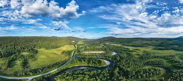 美しい森と川の夏の風景 - panoramic summer tree europe ストックフォトと画像