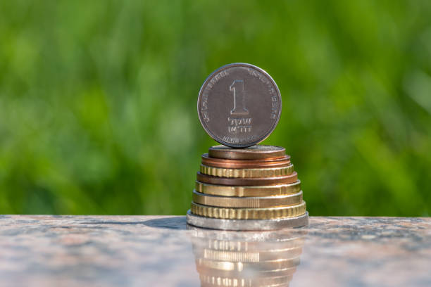 1 Israeli shekel coin