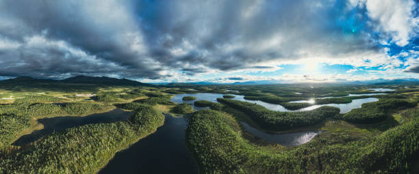 緑の森に囲まれた湖の夕日 - aerial view nature nordic countries island ストックフォトと画像