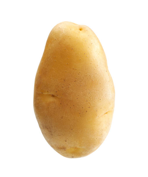 Unpeeled raw potato isolated on white background stock photo