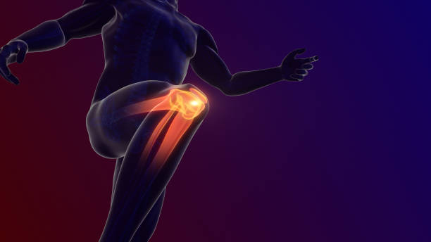 Pain in the knee joint Pain in the knee joint human knee stock pictures, royalty-free photos & images