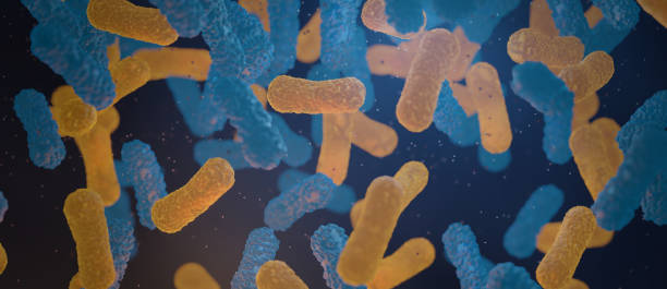 istock The human Microbiome, genetic material microbes that live on and inside the human body. 3D Render 1415544908
