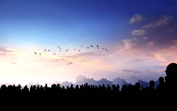 Large group of silhouetted people