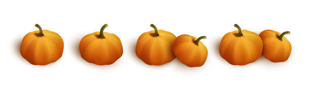 istock Set of autumn orange pumpkins for halloween or thanksgiving celebration 1415548446