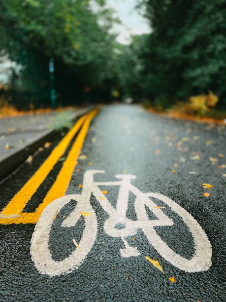 istock Bicycle lane on wet road with fallen leaves 1415550111