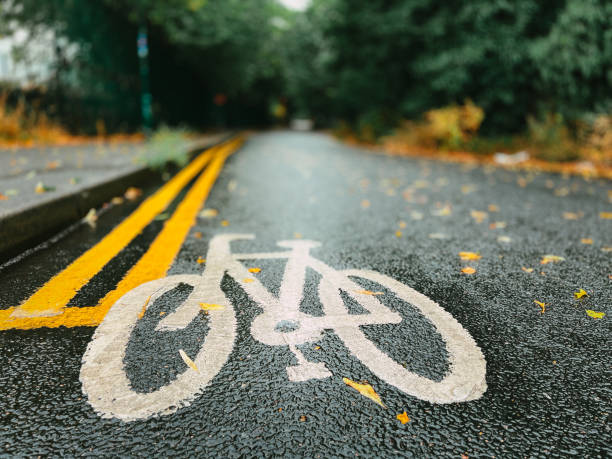 istock Bicycle lane on wet road with fallen leaves 1415550113