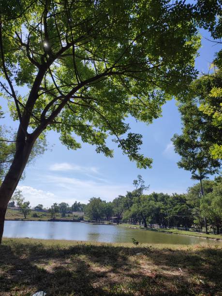 istock The view around the lake 1415556427