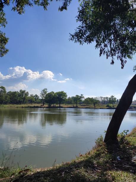 istock The view around the lake 1415556463