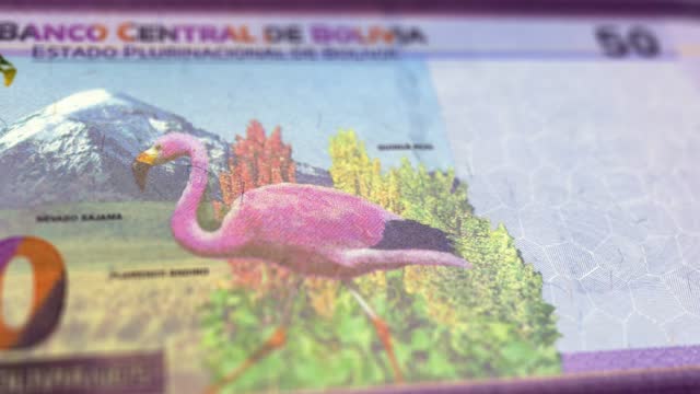 Banknotes of the Bolivia 50 Boliviano Observe and Reserve Side Close up of a Tracking Dolly Shot 50 Bolivian Notes Current 50 Bolivian Bolivianos Banknotes 4k Resolution stock video - Bolivia Money Currency Background Financial Inflation