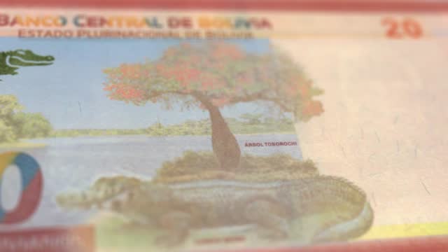 Banknotes of the Bolivia 20 Boliviano Observe and Reserve Side Close up of a Tracking Dolly Shot 20 Bolivian Notes Current 20 Bolivian Bolivianos Banknotes 4k Resolution stock video - Bolivia Money Currency Background Financial Inflation