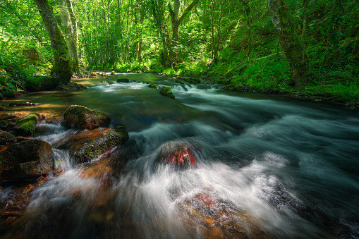 The gentle current of a calm river caresses orange boulders between leafy forests in Cervantes Ancares Galicia