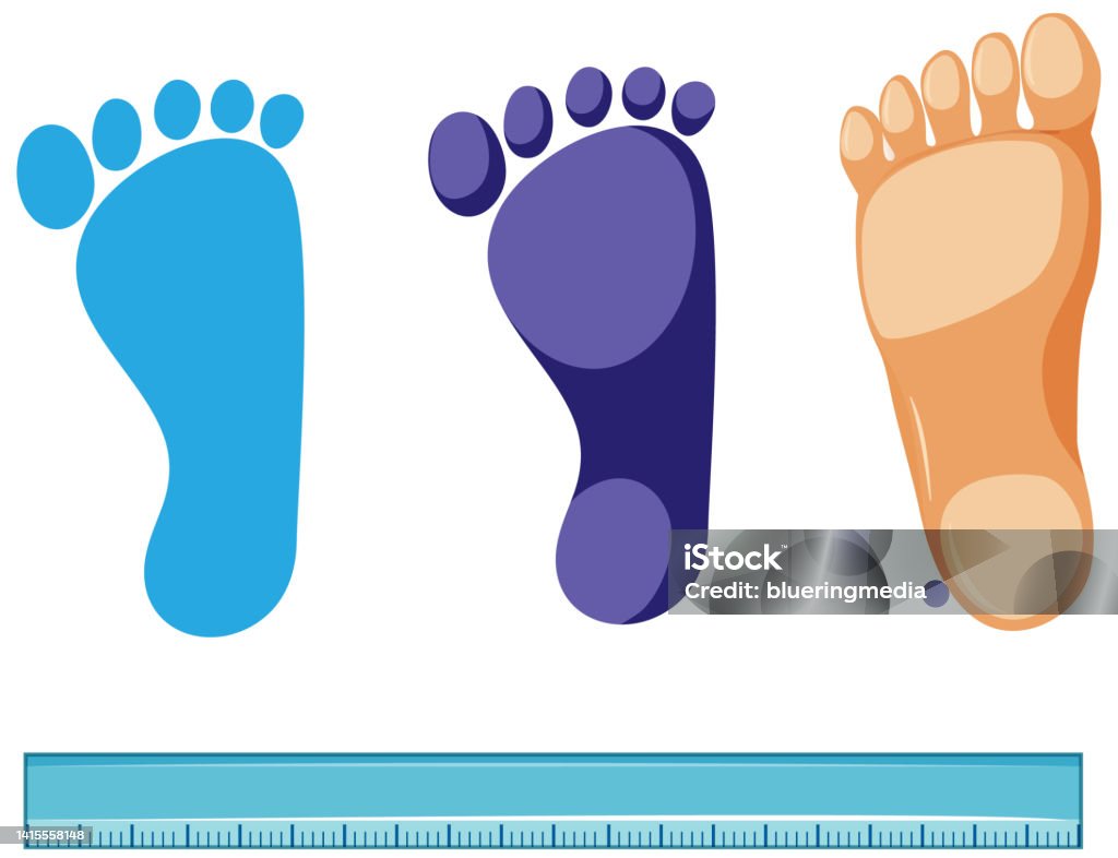 Comparing Foot Measuring Foot Size Vector Stock Illustration - Download Image Now ...