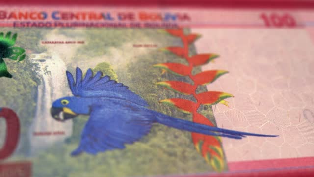 Banknotes of the Bolivia 100 Boliviano Observe and Reserve Side Close up of a Tracking Dolly Shot 100 Bolivian Notes Current 100 Bolivian Bolivianos Banknotes 4k Resolution stock video - Bolivia Money Currency Background Financial Inflation