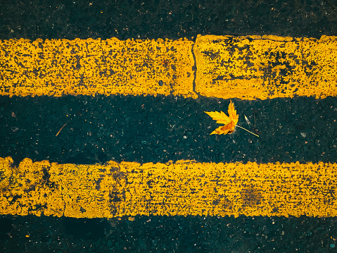 Double yellow line road markings beneath surface flood water.