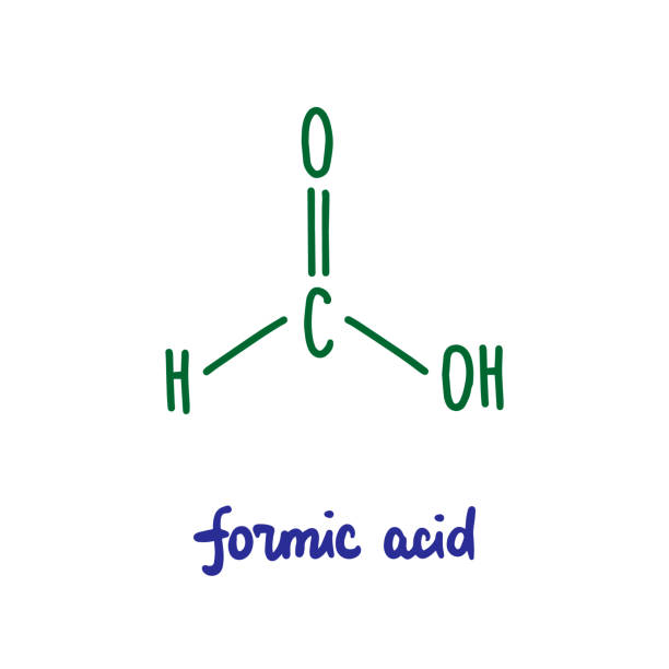 Formic acid hand drawn vector illustration formula chemical structure green blue Formic acid hand drawn vector illustration formula chemical structure green blue lettering formic acid stock illustrations