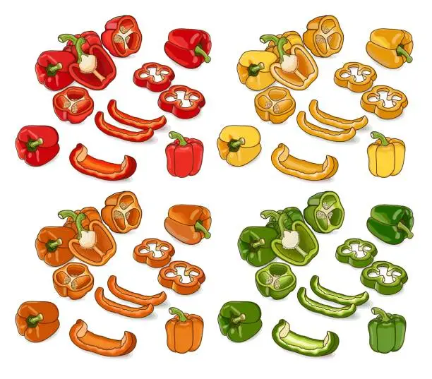 Vector illustration of Set of red, green, yellow, and orange bell peppers. Whole, half, sliced and wedges capsicum. Sweet bell peppers, capsicum. Vegetables. Cartoon style. Vector illustration isolated on white background.