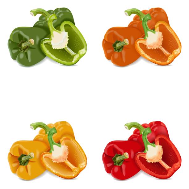 ilustrações de stock, clip art, desenhos animados e ícones de three each red, green, yellow, and orange bell peppers for banners, flyers, posters, social media. whole and half sweet bell peppers. vegetables. vector illustration isolated on white background. - green bell pepper illustrations