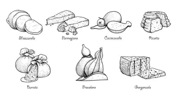 Vector illustration of Hand drawn sketch style cheese set. Traditional Itailan cheese collection. Mozzarella, Parmegiano, Caciocavallo, Ricotta, Burrata, Provolone, Gorgonzola. Best for menu designs and packaging. Vector illustrations.