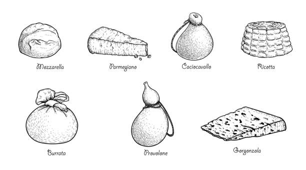 illustrazioni stock, clip art, cartoni animati e icone di tendenza di set di formaggi in stile schizzo disegnato a mano. collezione di formaggi tradizionali itailan. mozzarella, parmegiano, caciocavallo, ricotta, burrata, provolone, gorgonzola. ideale per il design e l'imballaggio del menu. illustrazioni vettoriali. - mozzarella