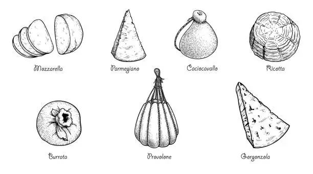 Vector illustration of Hand drawn sketch style cheese set. Traditional Itailan cheese. Top view. Mozzarella, Parmegiano, Caciocavallo, Ricotta, Burrata, Provolone, Gorgonzola. Best for menu designs and packaging. Vector illustrations.