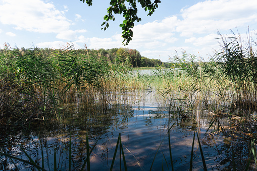 Idyllic view of Nature Preserve in Uckermark, Brandburg, Germany