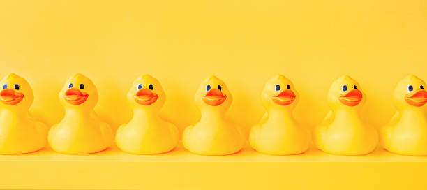 istock Banner yellow rubber ducks in a line toy design shelf decor. Rubber duck background. Rubber ducky bath toy background yellow ducks in a row. Meeting. Community. Association. Organize. Yellow concept 1415574633