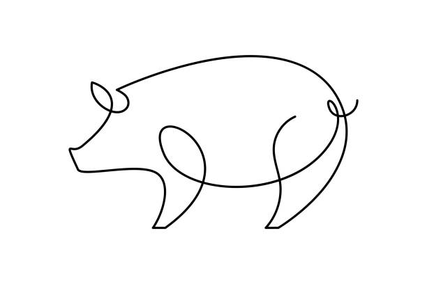 illustrations, cliparts, dessins animés et icônes de silhouette de cochon abstraite - pig