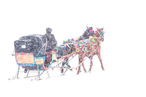 Traditional horse transport with sleigh