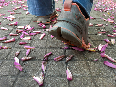 Closeup of a person's feet wearing sneakers walking along a sidewalk covered in flowers