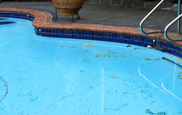 istock backyard swimming pool with leaves 1415583109