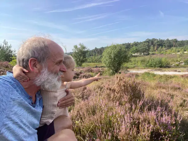 Toddler girl with her grandfather playing in the heath on a warm summer day