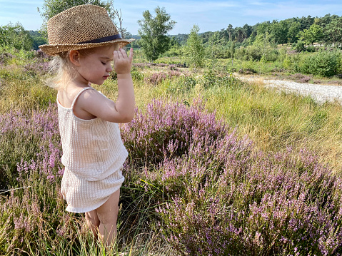 Toddler girl with sun hat standing in the heath cold Brunssummerheide on a warm summer day