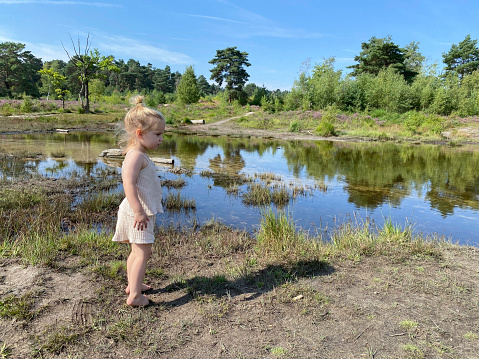 Toddler girl playing near the water of the Roode Beek river in the Brunssummerheide Heath land on a warm summer day in August.