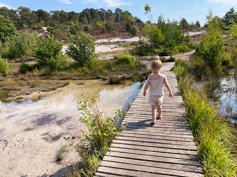 Toddler girl walking over wooden bridge  in the heath on a warm summer day